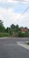 prozor_rama_gmici012