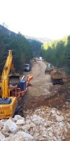 lipa_blidinje_2014037