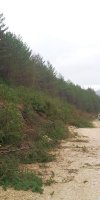 lipa_blidinje_2014041