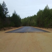 lipa_blidinje_2014017