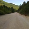 lipa_blidinje_2014002