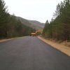 lipa_blidinje_2014019