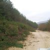 lipa_blidinje_2014041