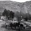 radovi_u_livnu_1957-1960016