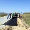 tg_lipa_2014033